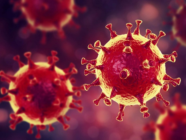 coronavirus_update920.jpg.daijpg.600