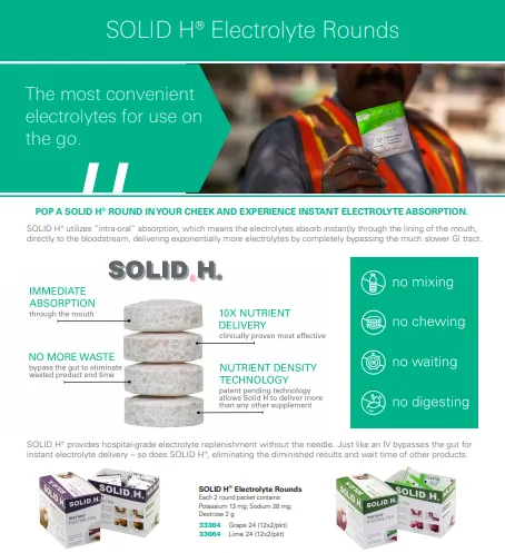Solid H Electrolytes